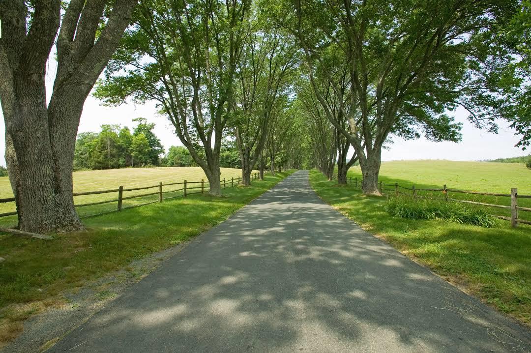 James Monroe's Highland