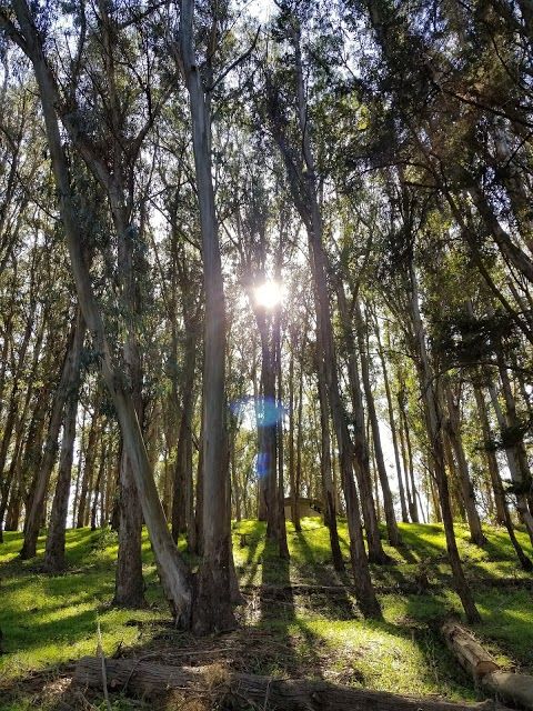 Junipero Serra Park