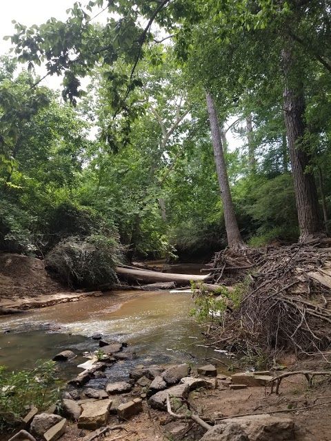 Spring Creek Park