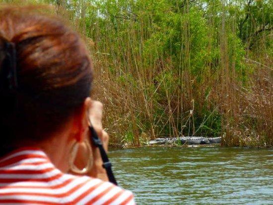 WildNative Tours