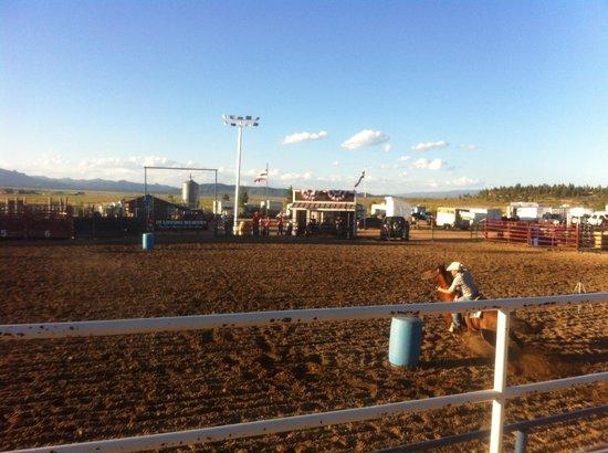 Rodeo
