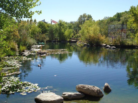 ABQ BioPark Aquarium