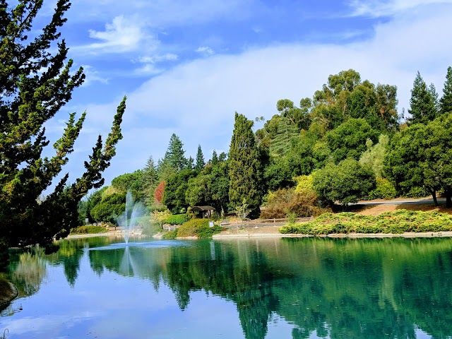 Sharon Park