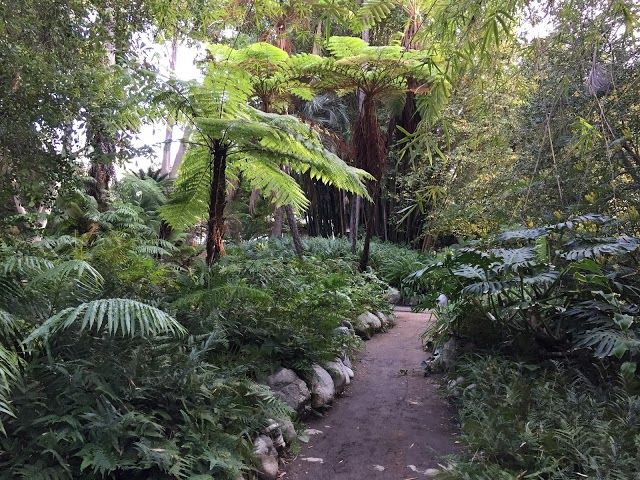 UCLA Mildred E. Mathias Botanical Garden