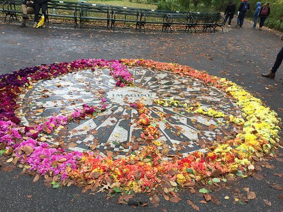 Strawberry Fields