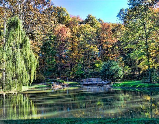 Edith J. Carrier Arboretum