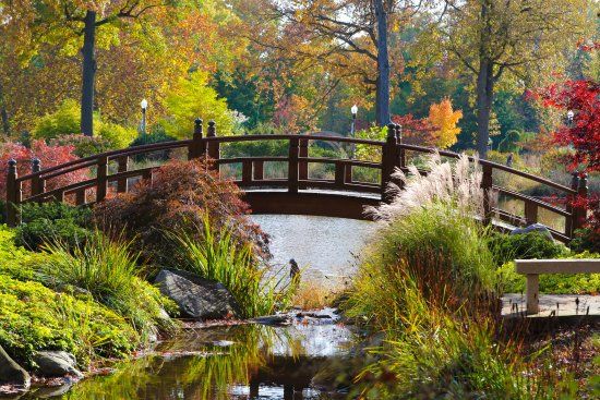 Wellfield Botanic Gardens